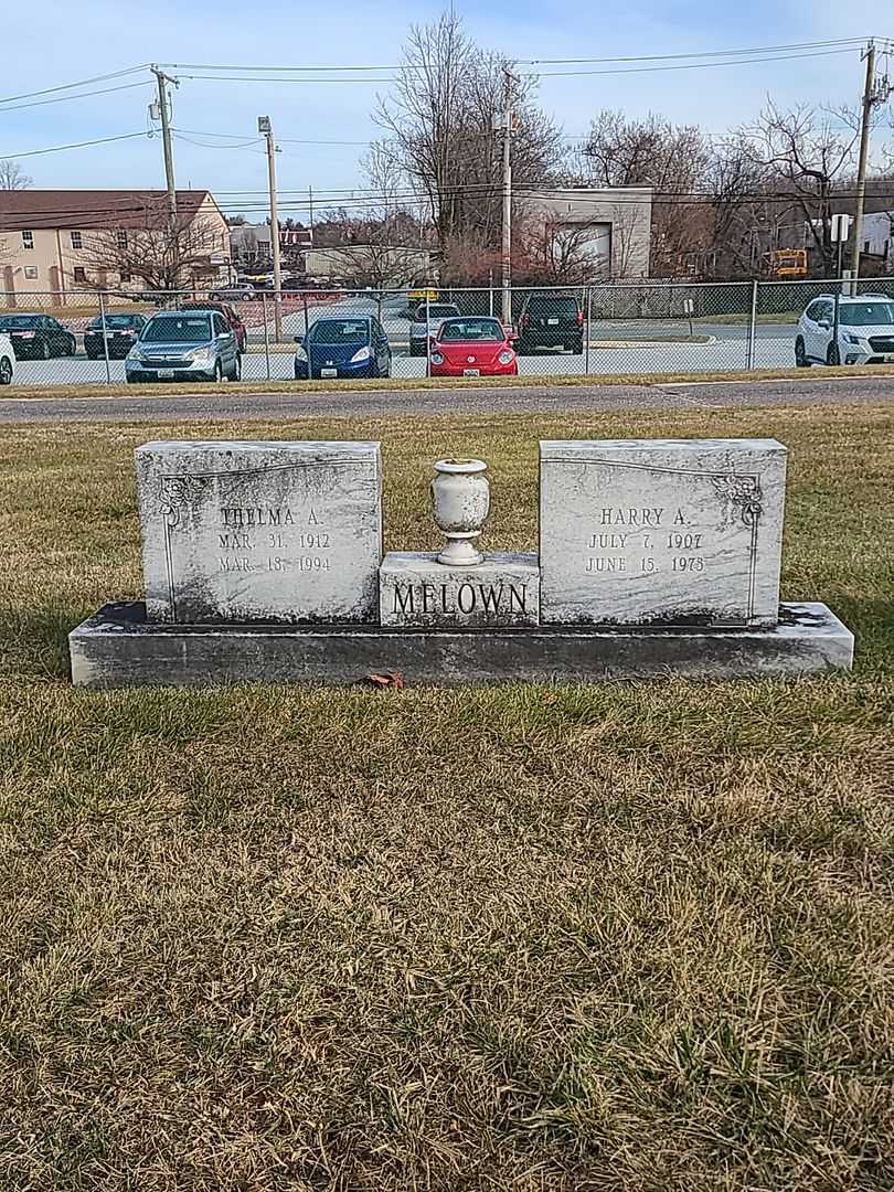 Harry A. Melown's grave. Photo 2