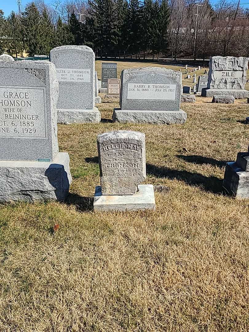 Nellie May Thomson's grave. Photo 2