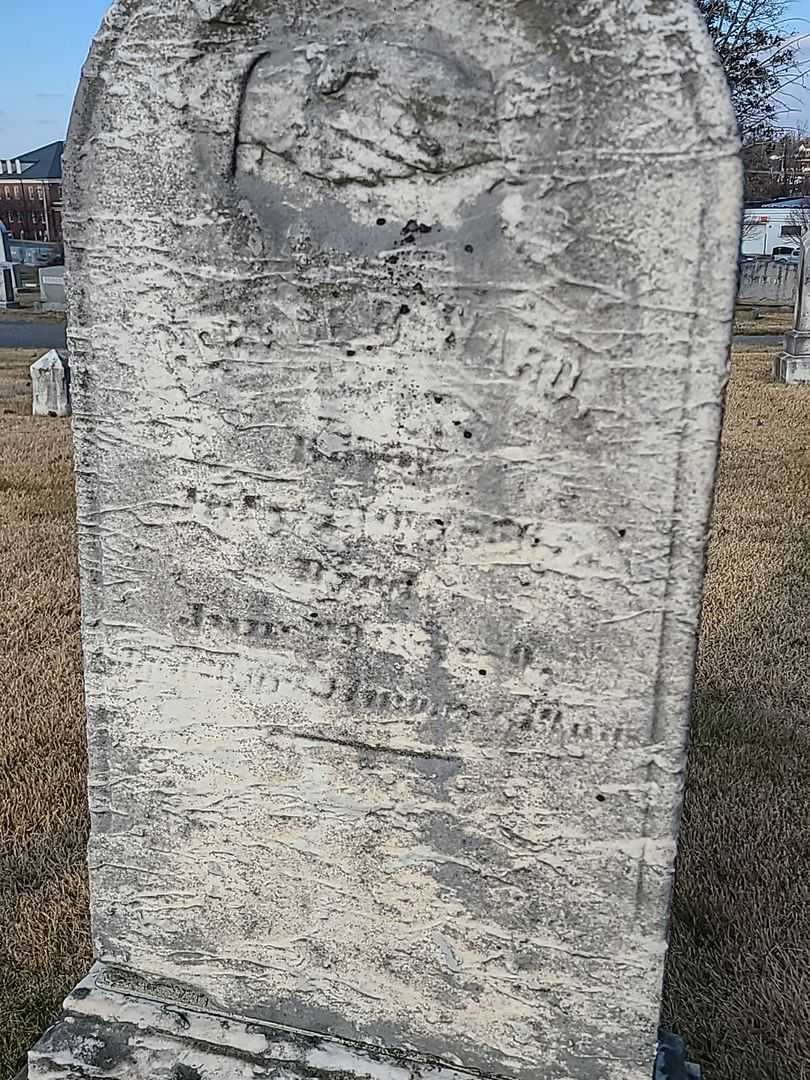 Horace B. Ward's grave. Photo 3