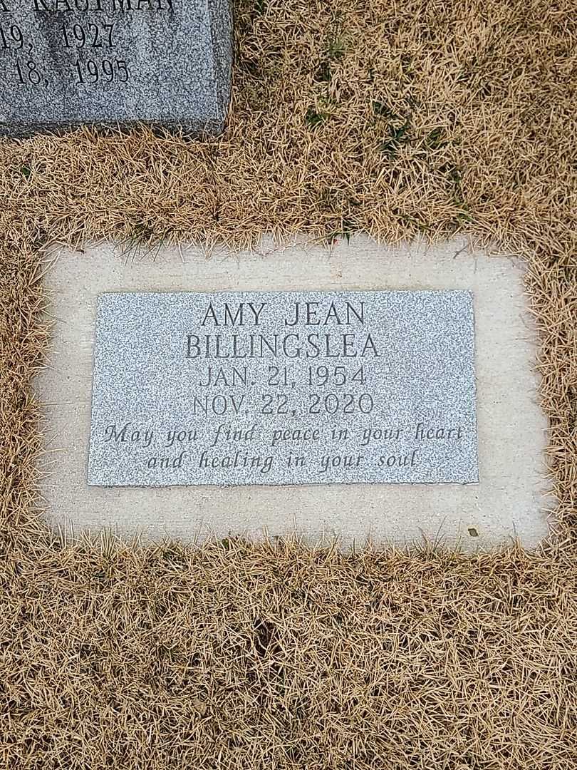 Amy Jean Billingslea's grave. Photo 3