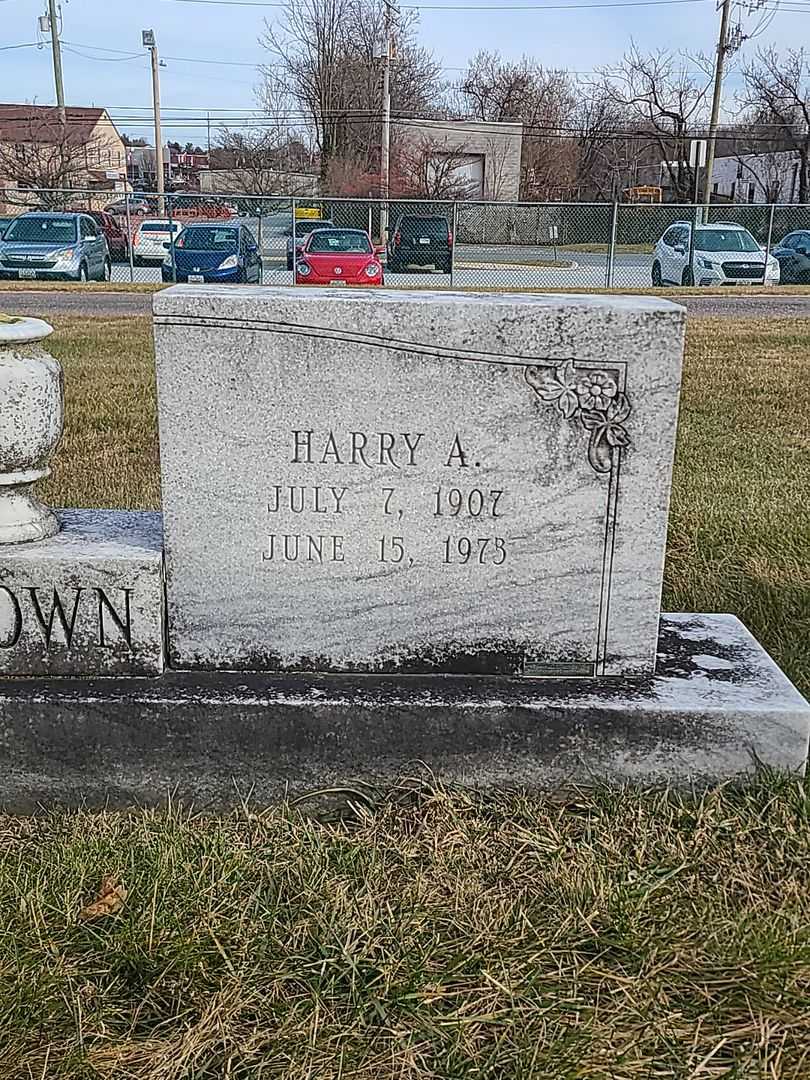 Harry A. Melown's grave. Photo 1