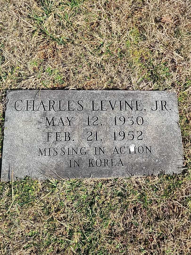 Charles Levine Billingslea Junior's grave. Photo 3