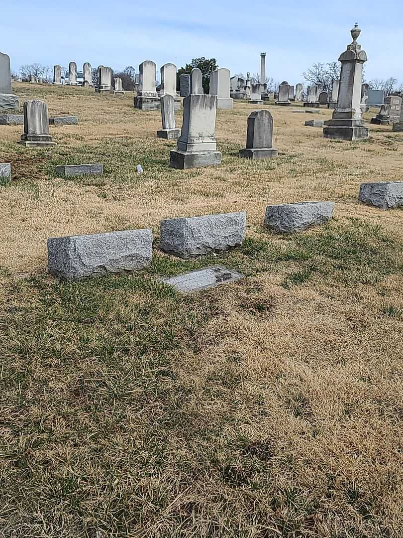 Janko Frank's grave. Photo 2