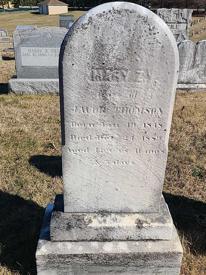 Mary Z. Thomson's grave. Photo 3
