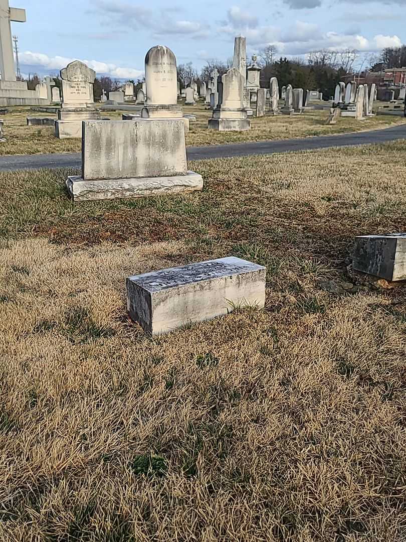 Virginia C. Gehr's grave. Photo 2