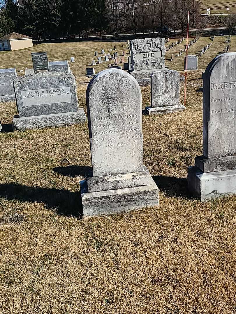 Mary Z. Thomson's grave. Photo 2