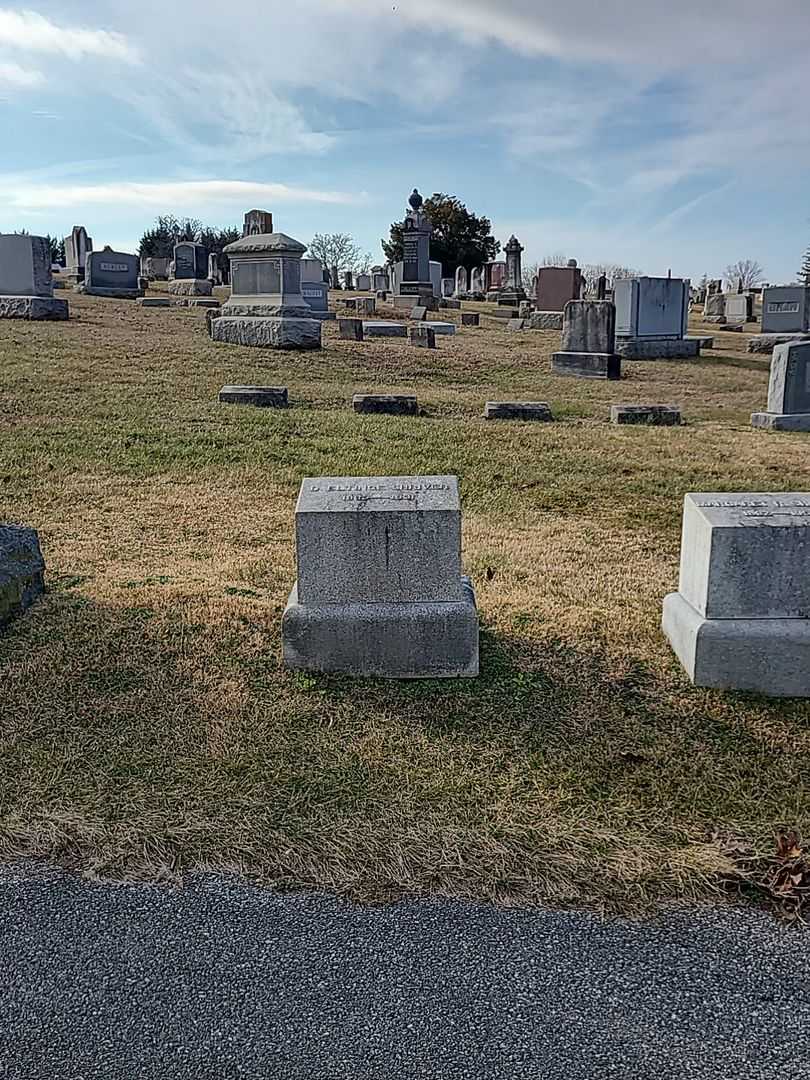 D. Eltinge Shriver's grave. Photo 2