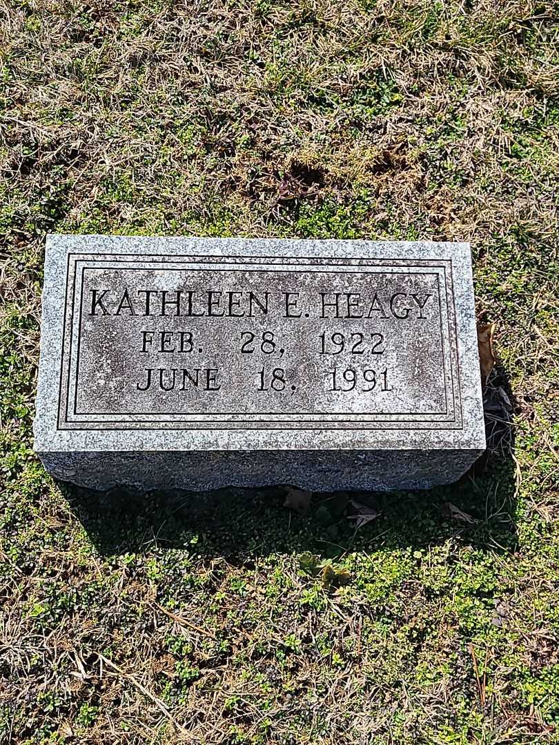 Homer I. Heagy's grave. Photo 1