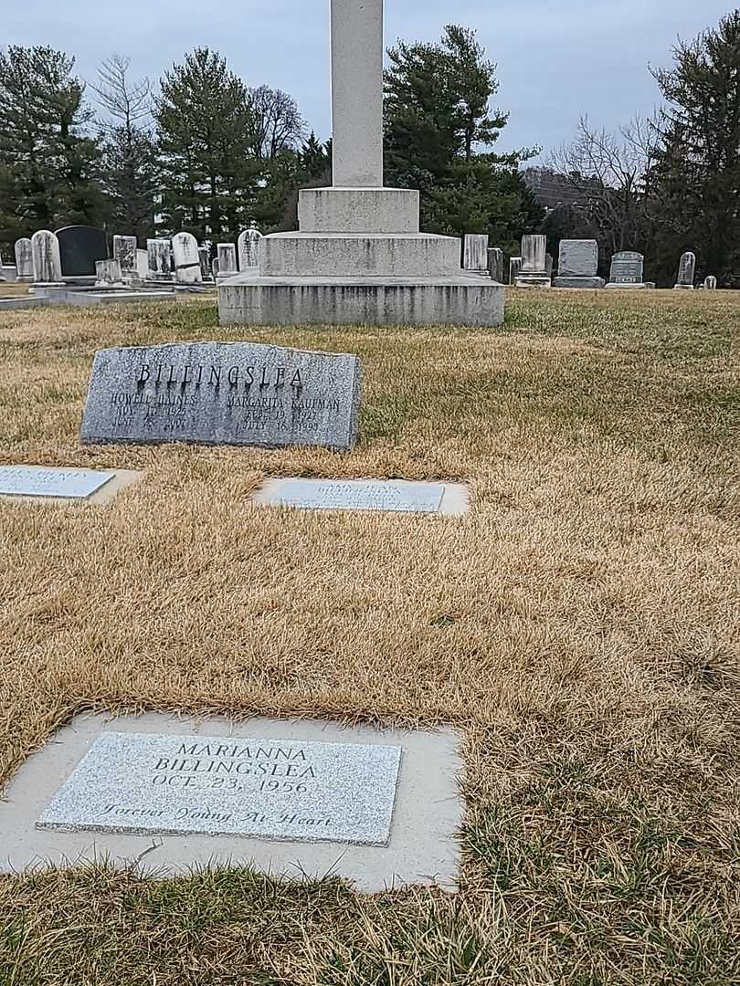 Amy Jean Billingslea's grave. Photo 2